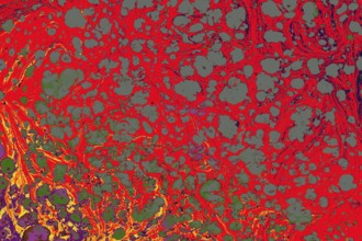 Ebru marble effect surface pattern design for print