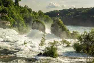 Rocks of the famous Rhine Falls (Rheinfall) in Schaffhausen