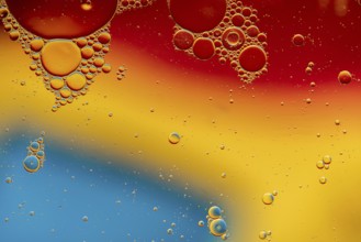 Abstract, image of oil, water and soap in a glass bowl with colourful background