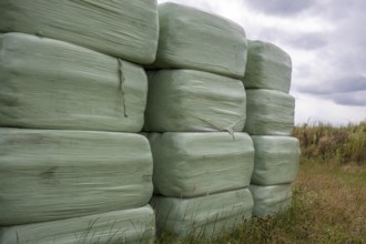 Silage packed in green plastic for cows in the north of the Netherlands
