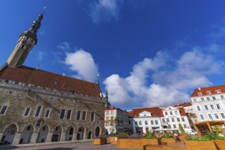 Tallinn Town Hall in the old town of Tallinn, Estonia, Europe
