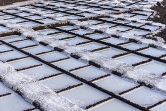 Salt extraction in salinas of Fuencaliente, La Palma, Canary Islands