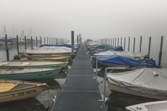Boat harbour on Lake Constance in the fog, Eschenz, Canton Thurgau, Switzerland, Europe