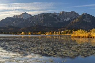 Lake Hopfensee at sunrise with the Allgäuer Alpen in the Background. Fall colors