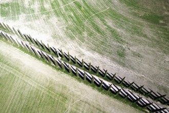 Aerial photographic documentation of a cypress road in the province of Siena Tuscany Italy