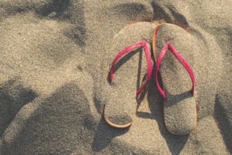 Pink sandals on the beach in the sand