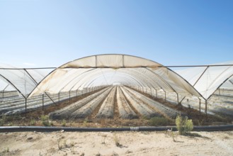 Greenhouse without plants. Sunlight