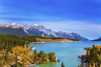 Mountain valley in the Rocky Mountains of Canada. Picturesque shores of Abraham Lake. Golden Autumn