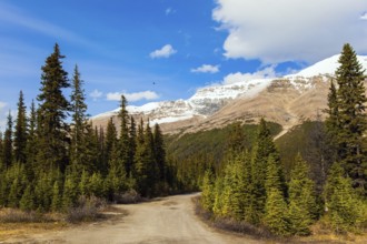 Valley at the foot of Lake Peyto. Autumn Journey to the Rockies of Canada. Active, eco and photo