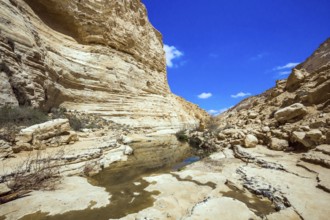 Start route. The walls of the gorge are corroded by caves. Israel. The ravine is formed by the