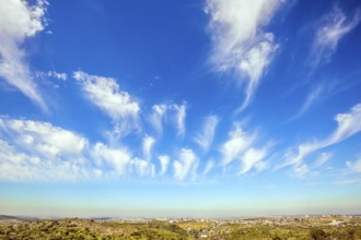 Bright blue spring sky. Spring in Israel. Flying light cirrus clouds. The warm spring sun