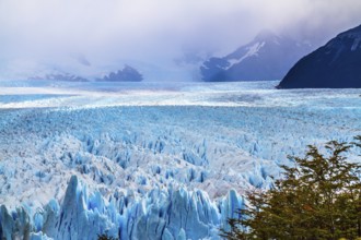 The spectacular glacier Perito Moreno, located in the national park of Los Glaciares in the