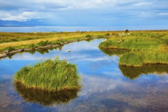 Small pond surrounded by green meadow. In the smooth thermal water reflects cloudy sky. Summer