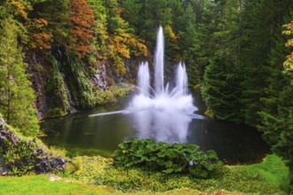 Dancing fountain in a quiet pond, surrounded by pine forest. Butchart Gardens on Vancouver Island,