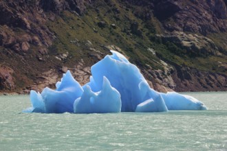 Unique lake Viedma in arid Patagonia. Huge white and blue icebergs floating in the icy water of