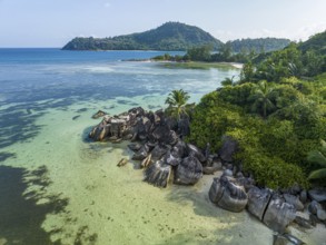 Rocks and palm trees surrounded by clear water on a tropical beach on an island, SEYCHELLEN, Port