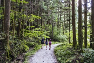 Hiking path landscape on the famous Magome-Tsumago Trail as part of the Nakasendo Way between