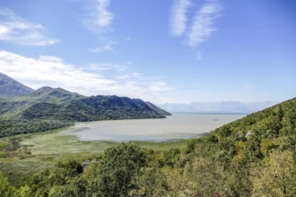 Landscape with lake and mountains