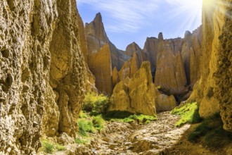 Ridges separated by narrow ravines. The Clay Cliffs are natural formations of land. Omarama, New