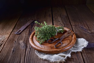 Thyme (Thymus vulgaris)