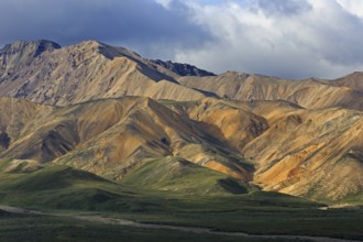 Denali National Park in Alaska