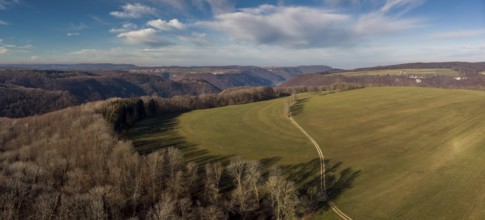 Forest landscape from the air