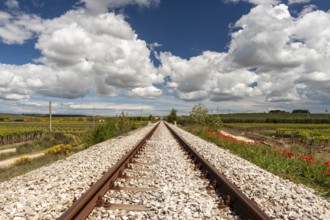 Railway tracks cutting through lush countryside under clouds. Canosa DP, Puglia, Italy, Europe