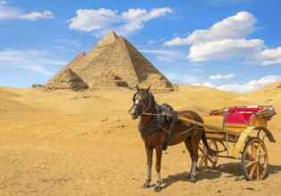 Horse wit carriage near great pyramids in Giza desert, Egypt, Africa