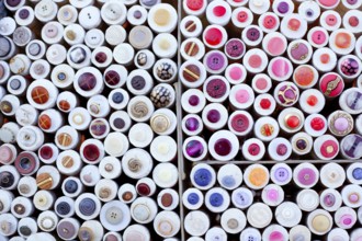 Colorful buttons display round boxes pattern texture