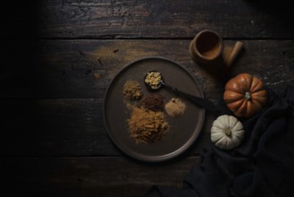 Top view of various ground handfuls of pumpkin spices on dishware and spoon at wooden plank table