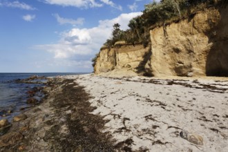 Natural beach on the Baltic Sea, Poel Island, Mecklenburg-Western Pomerania, Germany, Europe