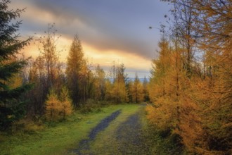 Beautiful Slovak unspoilt nature, a wonderful destination for vacation and relaxation
