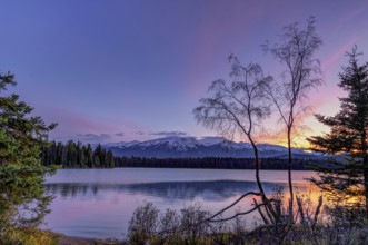 Beautiful autumn landscape scene in mountain in background in Jasper National Park west Canada