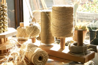Esparto halfah grass used for crafts as cords basketry and espadrilles