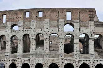 Colosseum, Colosseum, amphitheatre, built 72 AD by Vespasian, Rome, Latium, Italy, Exterior view of