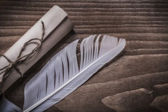 Rolled up vintage paper plume on wooden board horizontal view