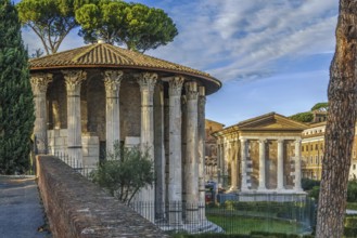 The Temple of Hercules Victor (Hercules the Winner) is an ancient edifice located in the area of