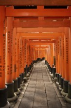 Torii, Fushimi Inari-Taisha, Fushimi, Kyoto, Japan, Asia