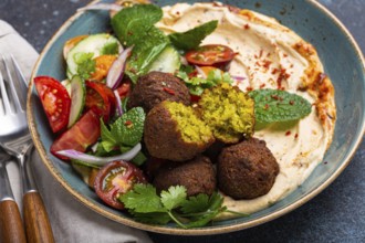 Close up of Middle Eastern Arab meal with fried falafel, hummus, vegetables salad with fresh green