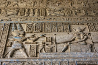Hieroglyphic carvings on the exterior walls of an ancient egyptian temple