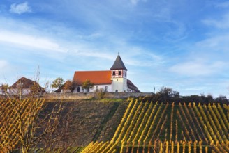 The Michaelsberg in Cleebronn, Zabergäu, Baden-Württemberg, Germany, Europe
