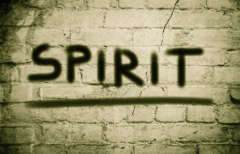 Spirit Concept