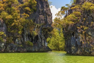 Delightful island-rock in the bay of Andaman Sea. Beach Maya Bay on Phi Phi Island