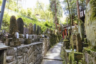Kyoto, Japan - May 15 2019: Fushimi Inari Shrine in Kyoto, Japan. One of the largest tourist