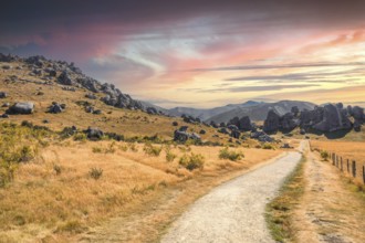 An image of a landscape scenery at Castle Hill New Zealand