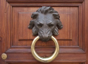Antique door knocker in the form of a lion's head on old wooden door, Rome, Italy, Europe