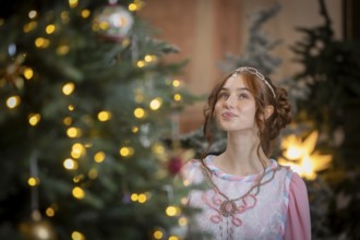 The winter exhibition Three Hazelnuts for Cinderella starts on 21 November. Moritzburg Castle is