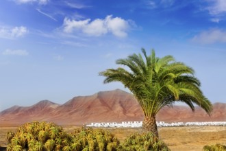 Ajaches mountain in Lanzarote Punta Papagayo at Canary Islands