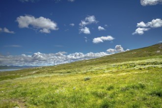 Fascinating natural landscape in Jotunheimen in the summertime in Norway. Great natural landscape