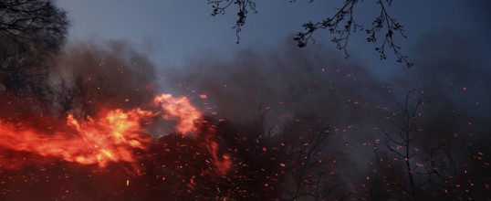 Fire with flying sparks, smoke and blazing flames at dusk. Landscape format. Forest fire with